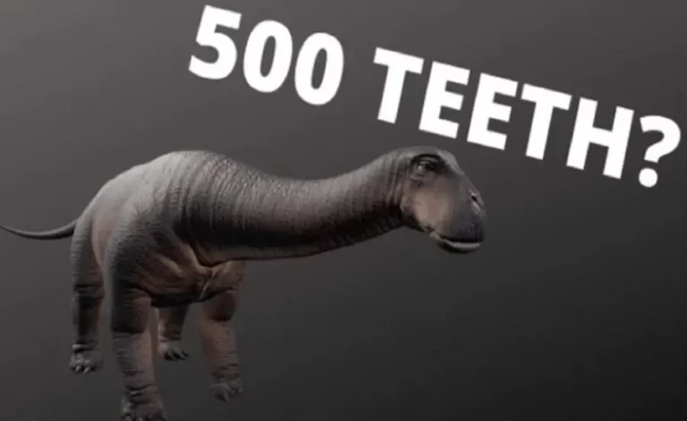 What dinosaur has 500 teeth? [Explained]