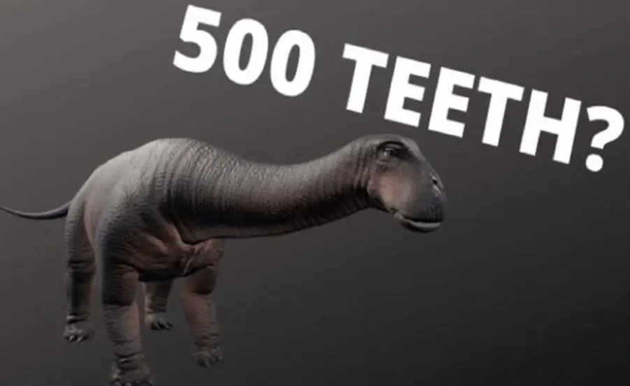 What dinosaur has 500 teeth