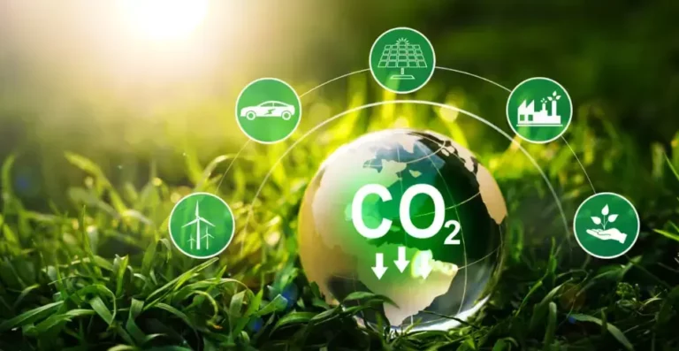 Carbon Footprint Reduction Strategies How Net Zero Emissions Can Save Your Business Money