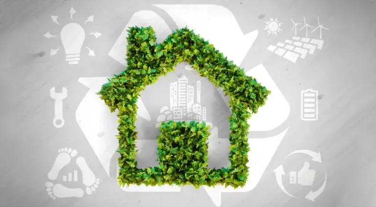 Sustainable Living: The Growing Demand for Green Homes and Eco-Friendly Real Estate