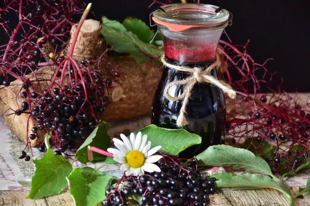 elderberry syrup for kids