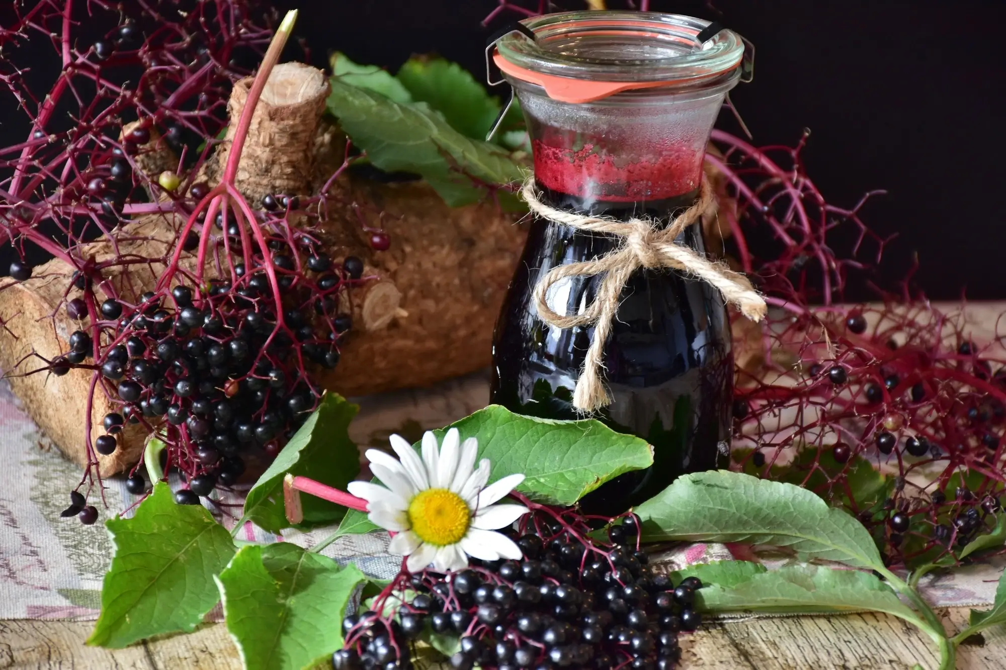 elderberry syrup for kids