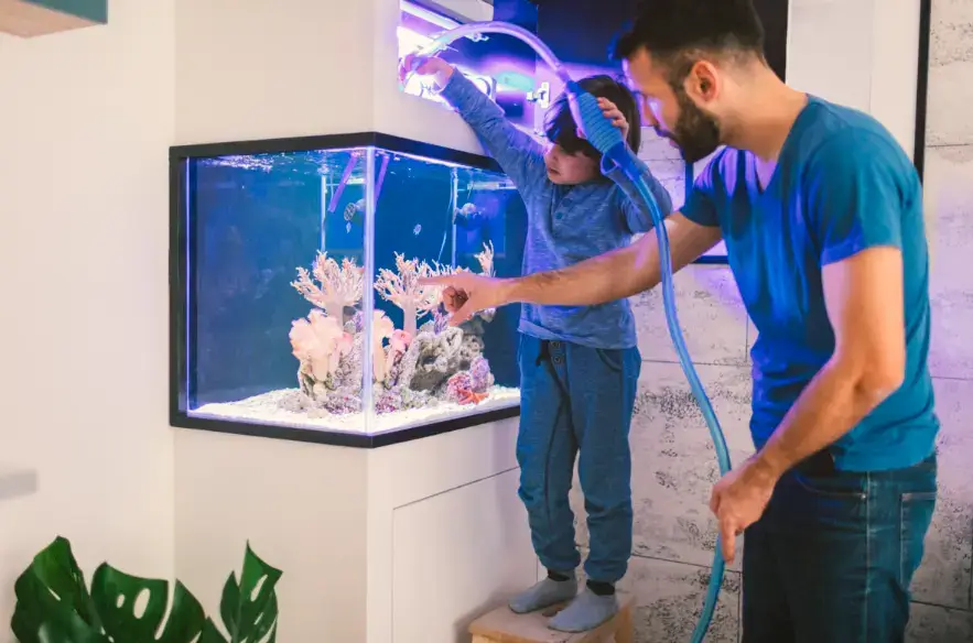 home aquarium