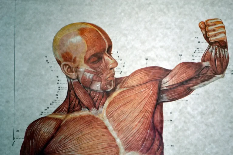 “Navigating the Road to Recovery: Torn Pec Muscle Survival Guide”