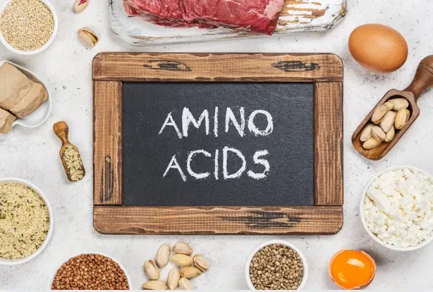 DoctorHub360.com Amino Acids